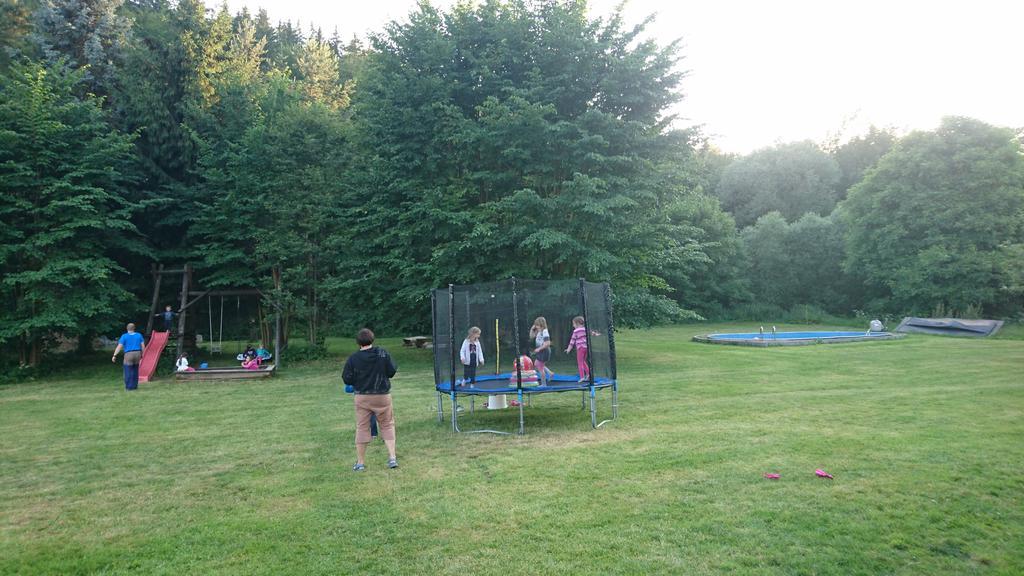 Penzion Krkonoše Mladé Buky Esterno foto